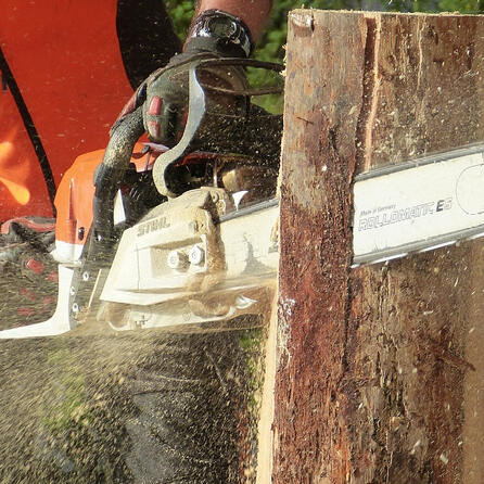 Kein Holzpenis mehr in Schwabmünchen - Eigentümer haben ihn wieder abgeholt