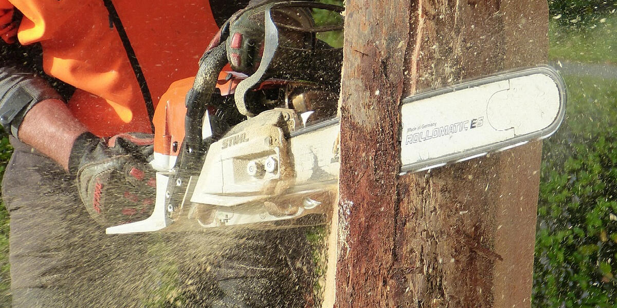 Kein Holzpenis mehr in Schwabmünchen - Eigentümer haben ihn wieder abgeholt