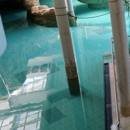 2G+-Killer in der Therme: Neue Öffnungszeiten in der Titania Neusäß