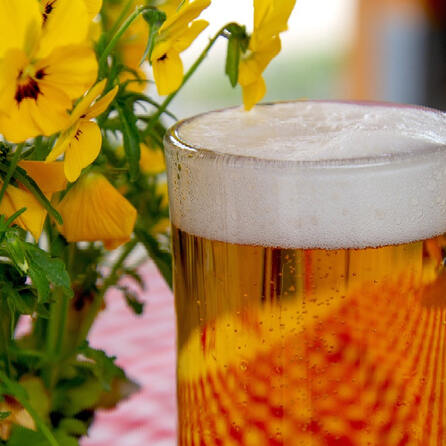 Augsburg bekommt einen veganen Biergarten: „Rübenrot“ eröffnet im Hochfeld