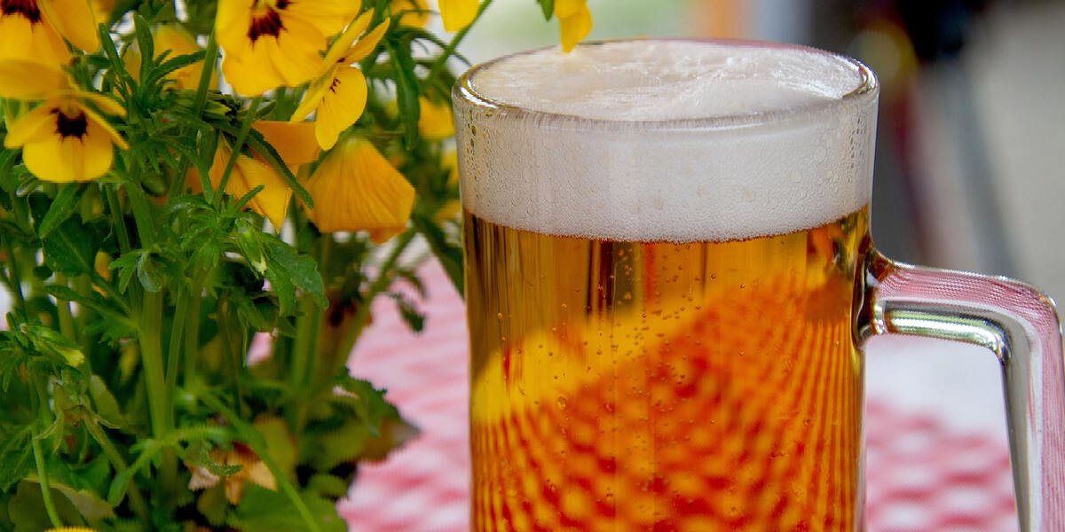 Augsburg bekommt einen veganen Biergarten: „Rübenrot“ eröffnet im Hochfeld
