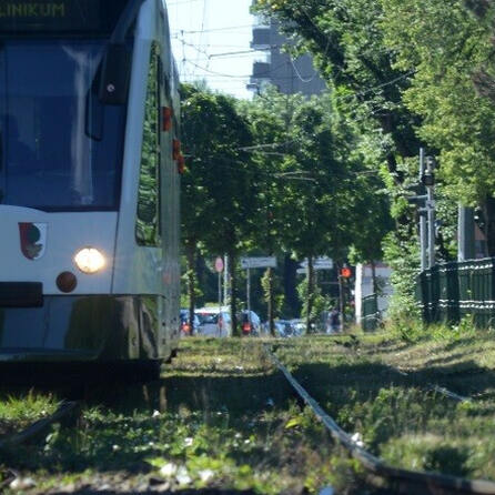 Städtische Baumpflegemaßnahmen in Augsburg mitten in der Nacht