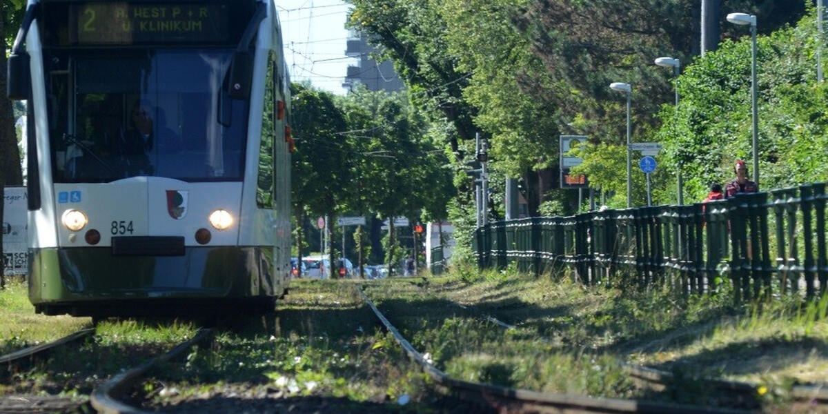 Städtische Baumpflegemaßnahmen in Augsburg mitten in der Nacht