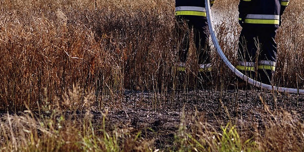 Hitzewelle im Raum Augsburg: Feld entzündet sich bei Mäharbeiten