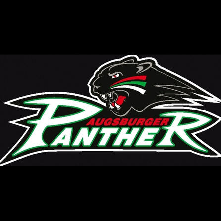 Augsburger Panther verpflichten neuen Stürmer