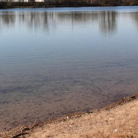 23-Jähriger geht im Augsburger Autobahnsee einfach unter - Freunde holen ihn aus dem Wasser und reanimieren ihn