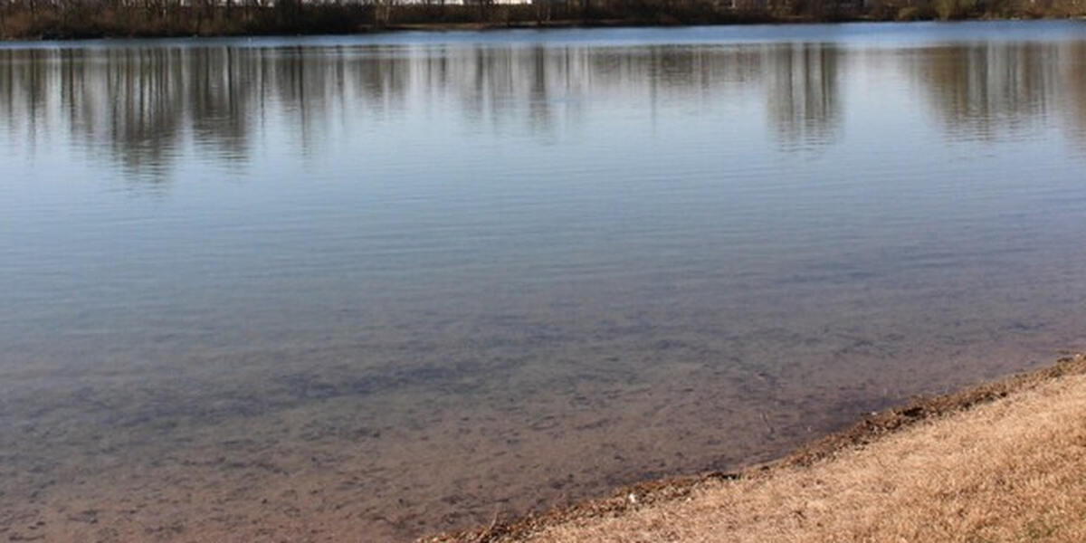 23-Jähriger geht im Augsburger Autobahnsee einfach unter - Freunde holen ihn aus dem Wasser und reanimieren ihn