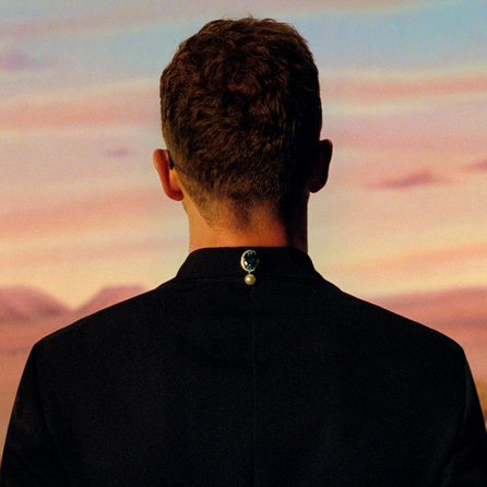 Justin Timberlake hat Lyme-Borreliose