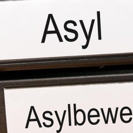 Asylbewerber im Oberallgäu: Deutlicher Rückgang der Asylbewerberzahlen und Anstieg der Abschiebungen