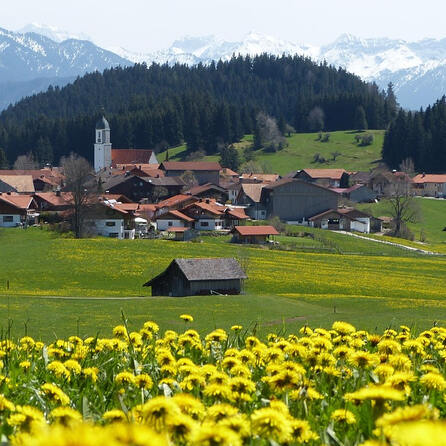 Bevölkerungswachstum im Allgäu bis 2043: Prognosen und Hintergründe