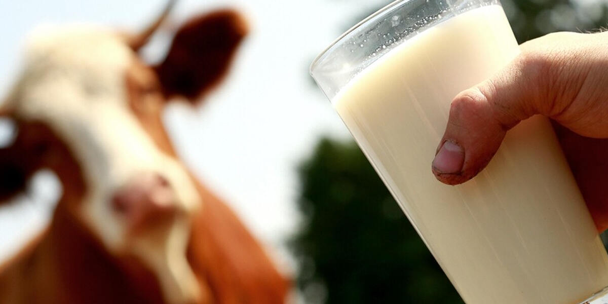Tierhaltungsverbot für Skandal-Landwirt aus Bad Grönenbach