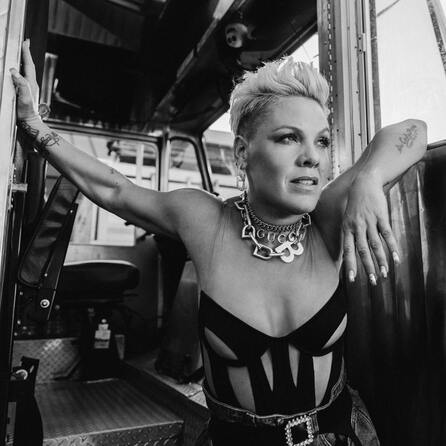 P!nk fängt sich während Urlaub Bakterien ein