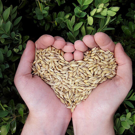 Fair & Bewusst - Landkreis Aichach-Friedberg plant "Fairtrade-Landkreis" zu werden 