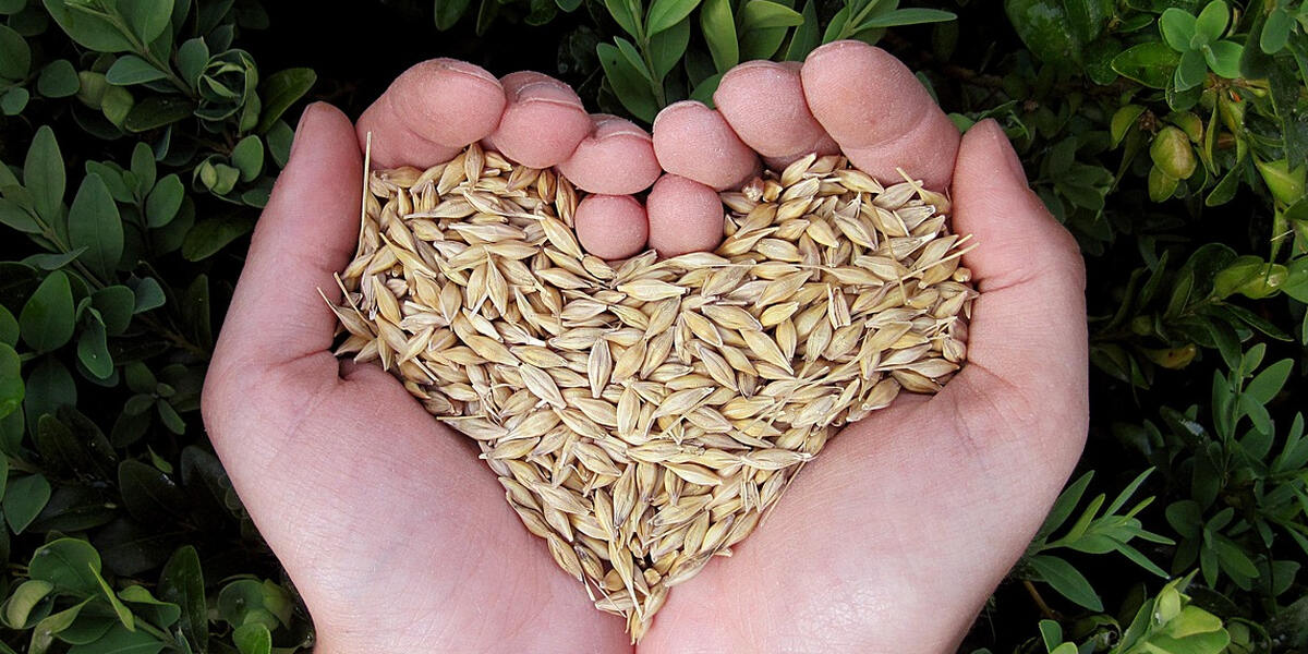 Fair & Bewusst - Landkreis Aichach-Friedberg plant "Fairtrade-Landkreis" zu werden 