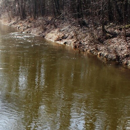 Augsburger Bäche und Kanäle: Ab morgen wird das Wasser abgelassen