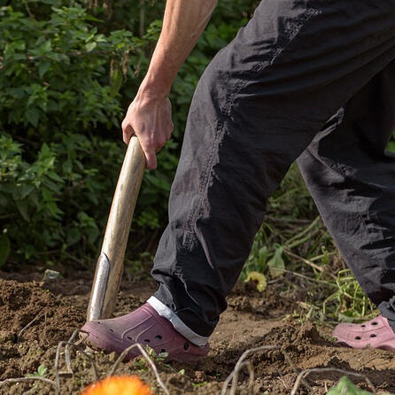 Landschaftspflegeverband und Stadtwerke Augsburg setzen sich ein: Neue Streuobstwiese an der Sportanlage Süd  