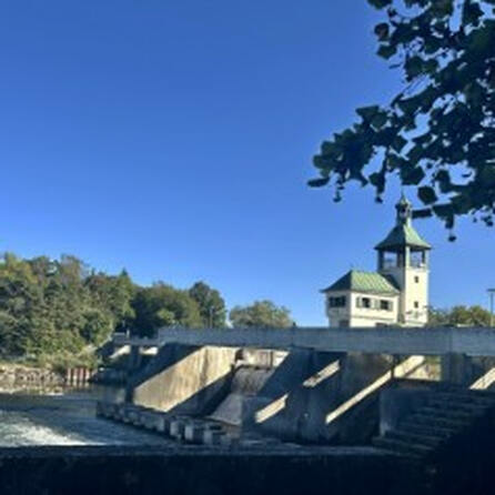 Gegen den Strom schwimmen: Die Stadtwerke Augsburg starten Mitte 2026 den Bau einer Fischaufstiegsanlage