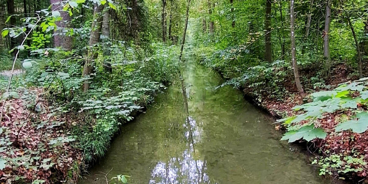 Lebensraumverbesserung im Siebenbrunner Bach in Augsburg - Neue ökologische Maßnahmen im Rahmen des LIFE-Projekts