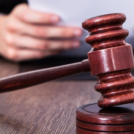 Hund erschossen: Jäger aus dem Raum Landsberg muss 30.000 Euro zahlen