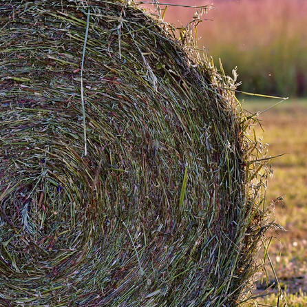 Arbeitsunfall in Friedberg-Rohrbach: Über 600 Kilo schwerer Futterballen überrollt Landwirt