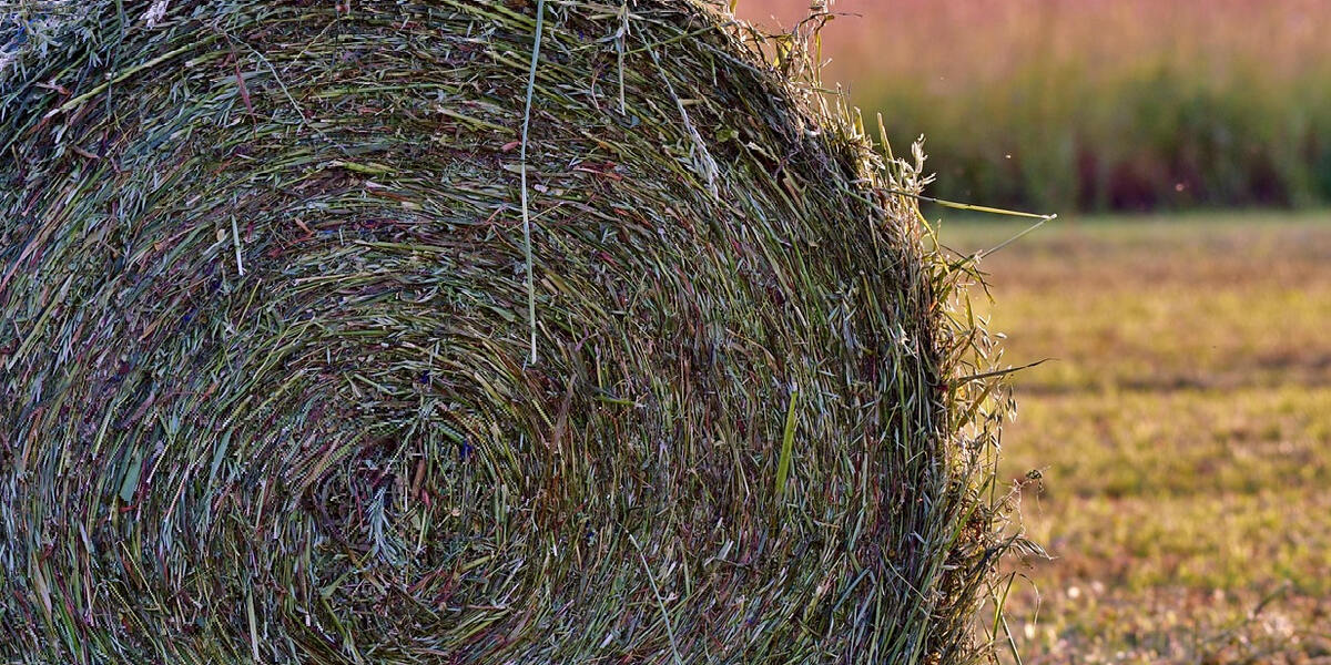 Arbeitsunfall in Friedberg-Rohrbach: Über 600 Kilo schwerer Futterballen überrollt Landwirt