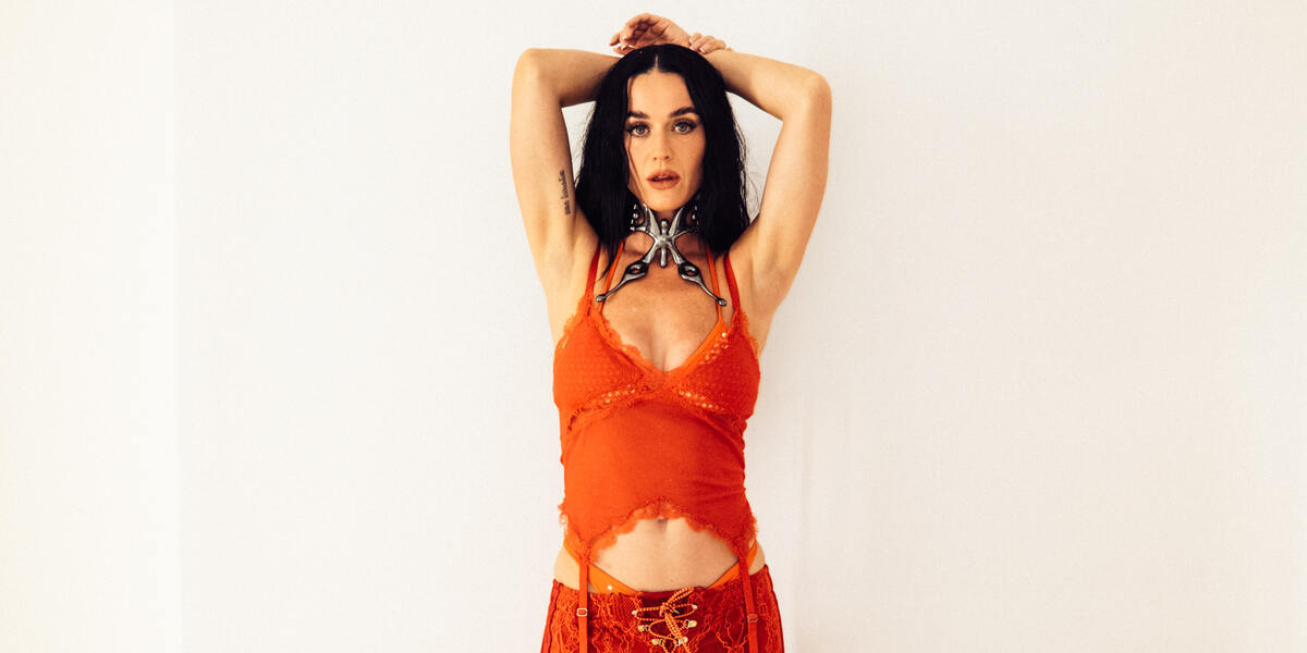 Katy Perry schmeißt Fan von der Bühne