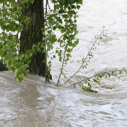 Hochwasserrückhaltebecken für Burgau