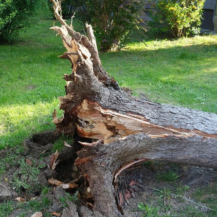Im Flößerpark in Augsburg-Lechhausen wird weitergebaut