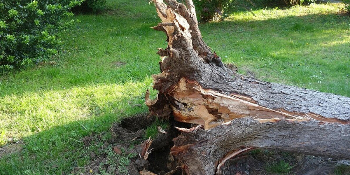 Im Flößerpark in Augsburg-Lechhausen wird weitergebaut
