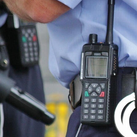 A7 bei Füssen: Dutzende Schildkröten in Schuhkartons