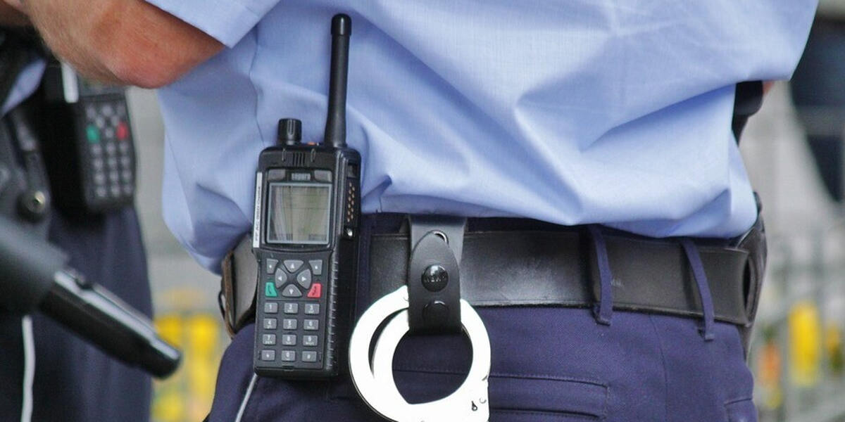 A7 bei Füssen: Dutzende Schildkröten in Schuhkartons