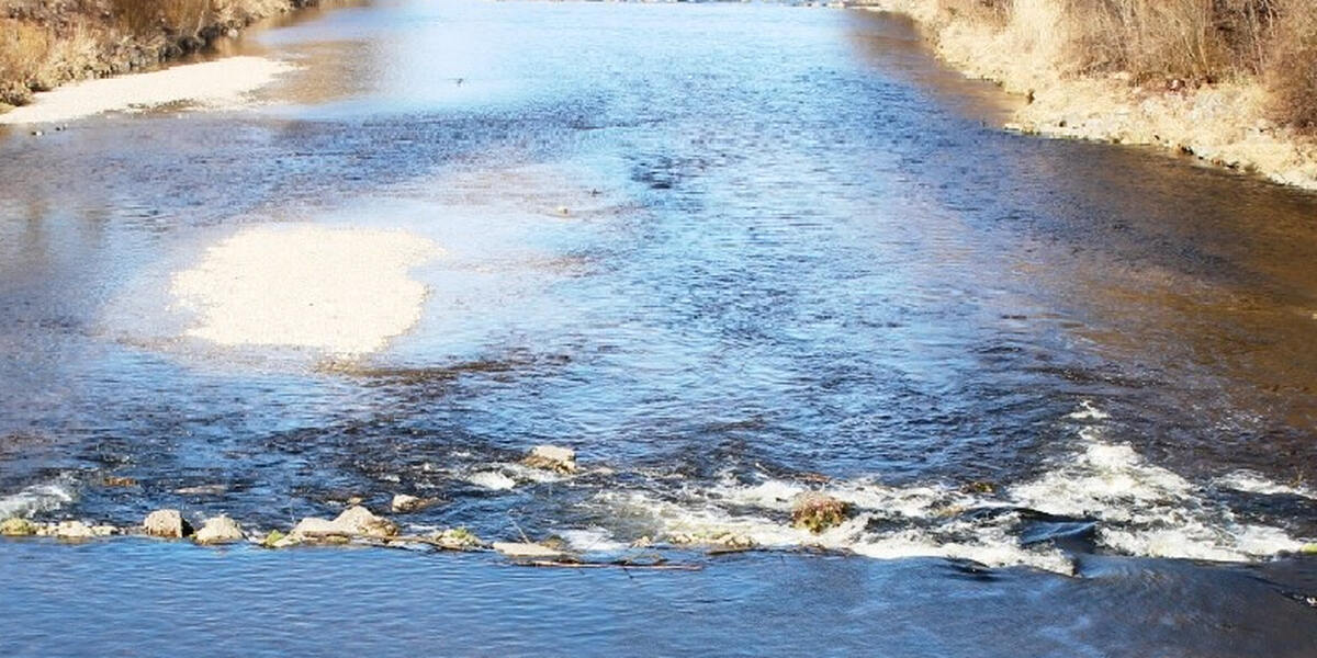 Licca liber: Start der Lech-Renaturierung bei Rehling