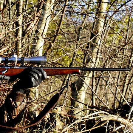 Wilderer im Allgäu: Schüsse nahe Röthenbachs Kindergarten und Schule