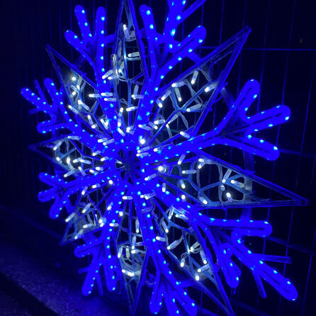 Christmas Garden 2025: Ein Lichterspektakel im Zoo Augsburg geht heute los