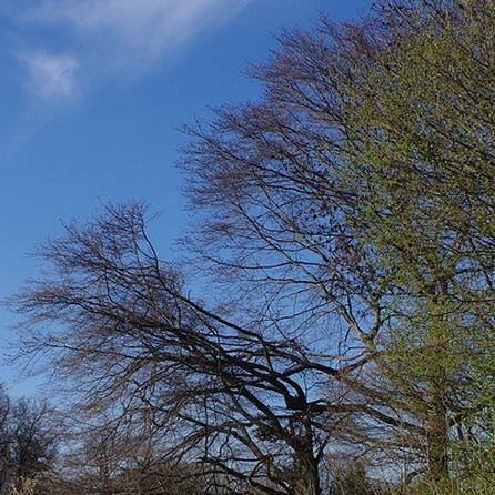 Gersthofen verkauft Augsburg den Müllberg