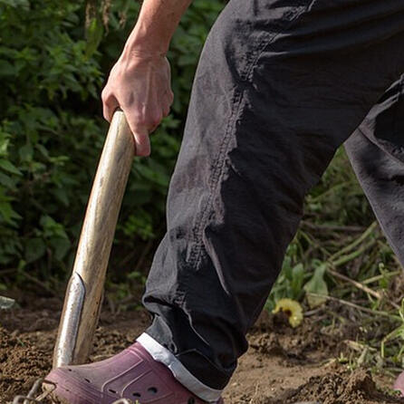 Bürgerpark Nord in Augsburg: Gespendete Bäume werden heute gepflanzt