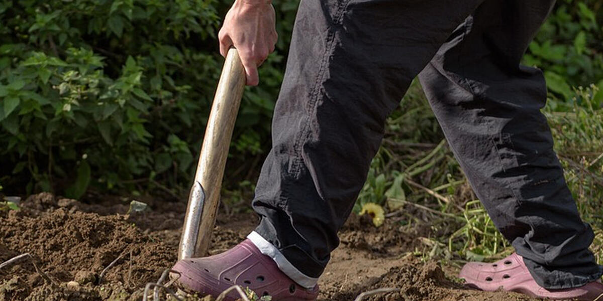Bürgerpark Nord in Augsburg: Gespendete Bäume werden heute gepflanzt