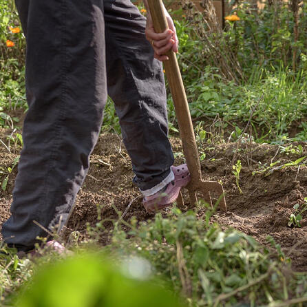 Gemeinden im Unterallgäu setzen auf nachhaltige Aufforstung -  Gepflanzt wurden 85 neue Bäume für den Klimaschutz