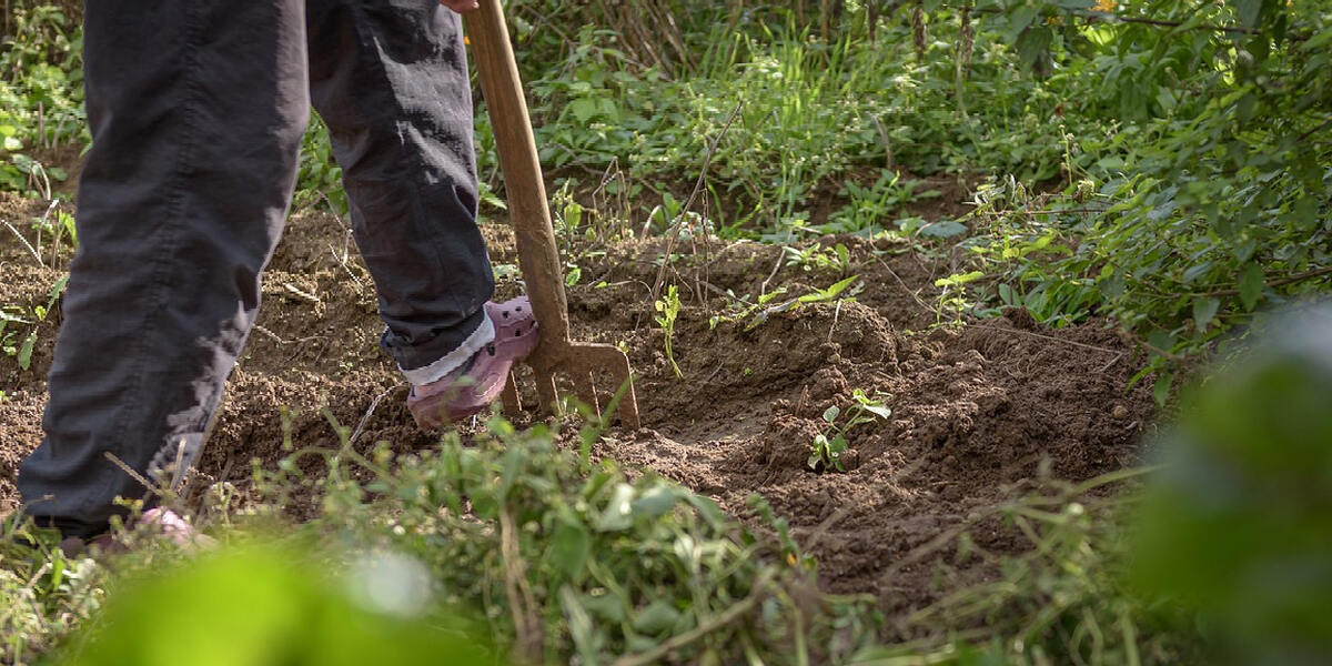 Gemeinden im Unterallgäu setzen auf nachhaltige Aufforstung -  Gepflanzt wurden 85 neue Bäume für den Klimaschutz