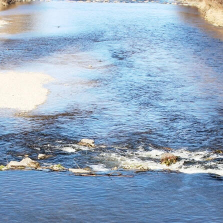 Frau entdeckt Leiche in Augsburger Fluss