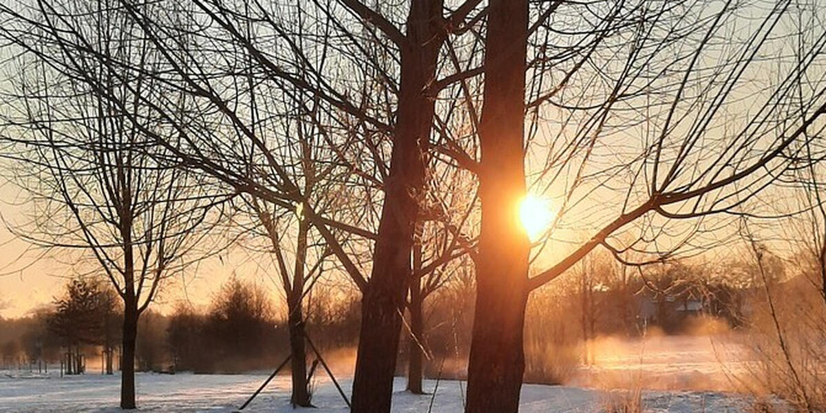 Munitionsentsorgung: Rheinmetall legt in Zusamaltheim im Landkreis Dillingen langsam los