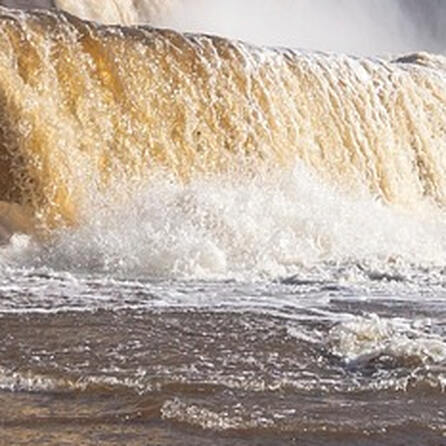 Lechkraftwerk Augsburg: Lechallianz warnt vor Gefahren für Natur und Fische