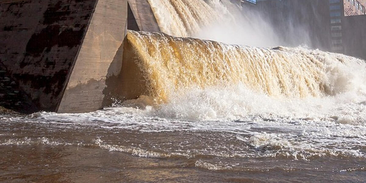 Lechkraftwerk Augsburg: Lechallianz warnt vor Gefahren für Natur und Fische