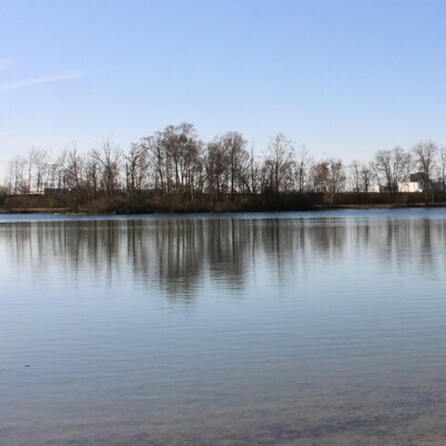 Fäkalkeime: Rothsee Zusmarshausen ist wieder sauber