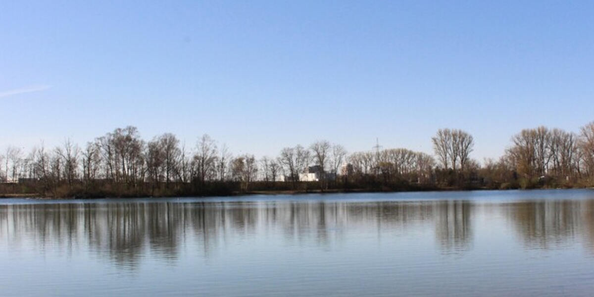 Fäkalkeime: Rothsee Zusmarshausen ist wieder sauber