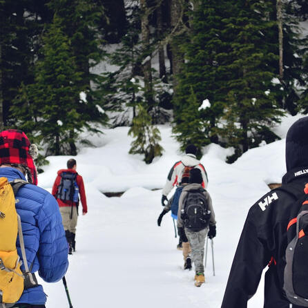 Dramatischer Absturz im eisigen Gelände im Allgäu – Wanderin fällt 80 Meter tief und verletzt sich schwer