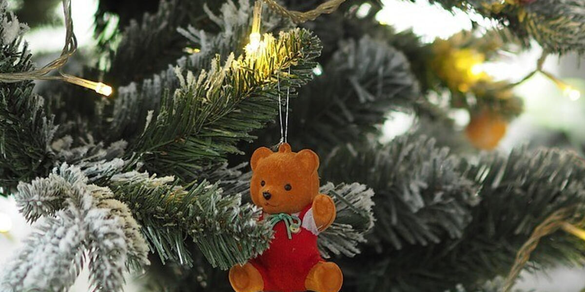 Reuiger Weihnachtsbaumdieb in Babenhausen