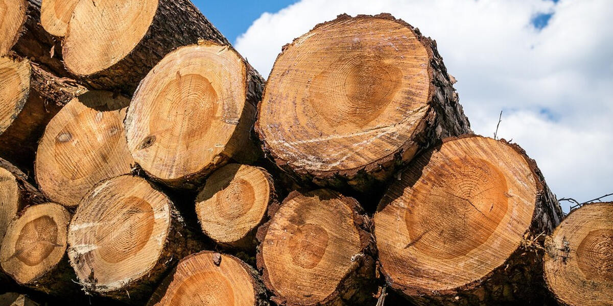 Wegen Erdgas in Reichling: Enteignung von Grundstückseigentümern?