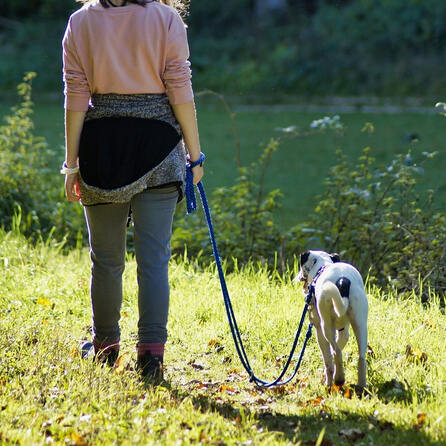 Giftköder? Verdächtige Fleischstücke auf einem Weg bei Wollbach im Kreis Augsburg entdeckt