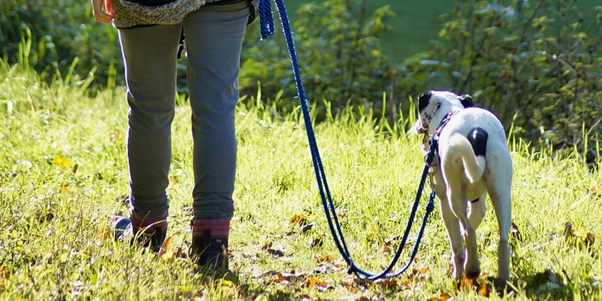 Giftköder? Verdächtige Fleischstücke auf einem Weg bei Wollbach im Kreis Augsburg entdeckt